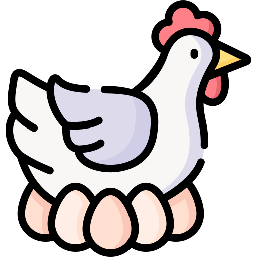 Pollo